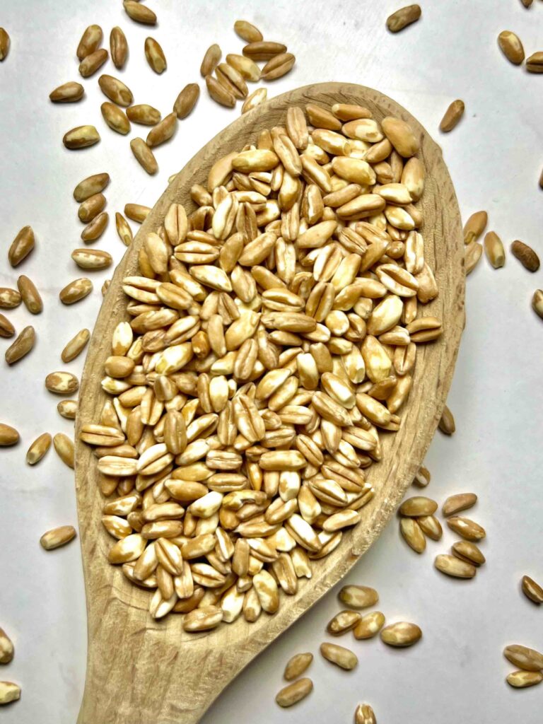 farro on wooden spoon