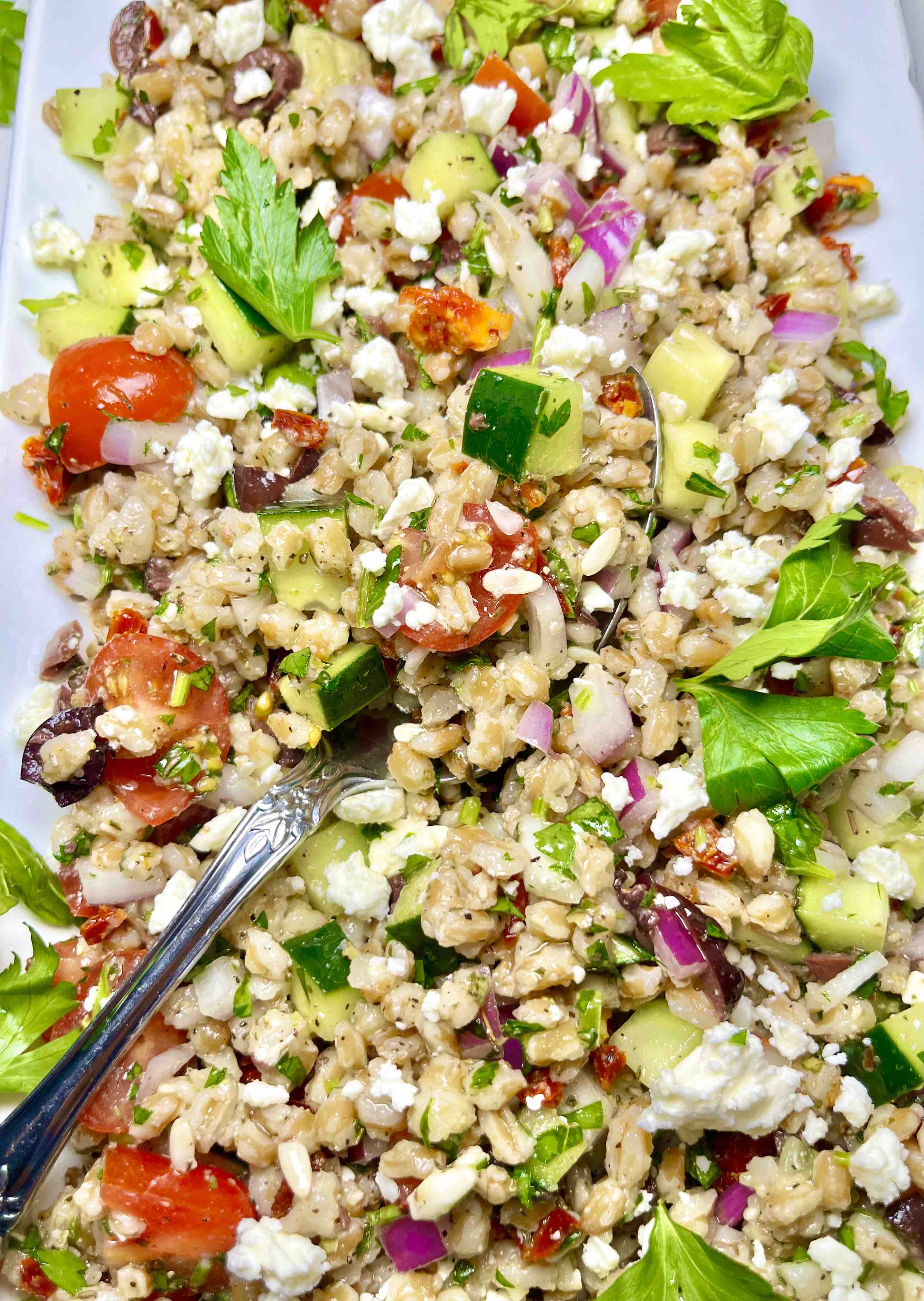 farro salad with spoon